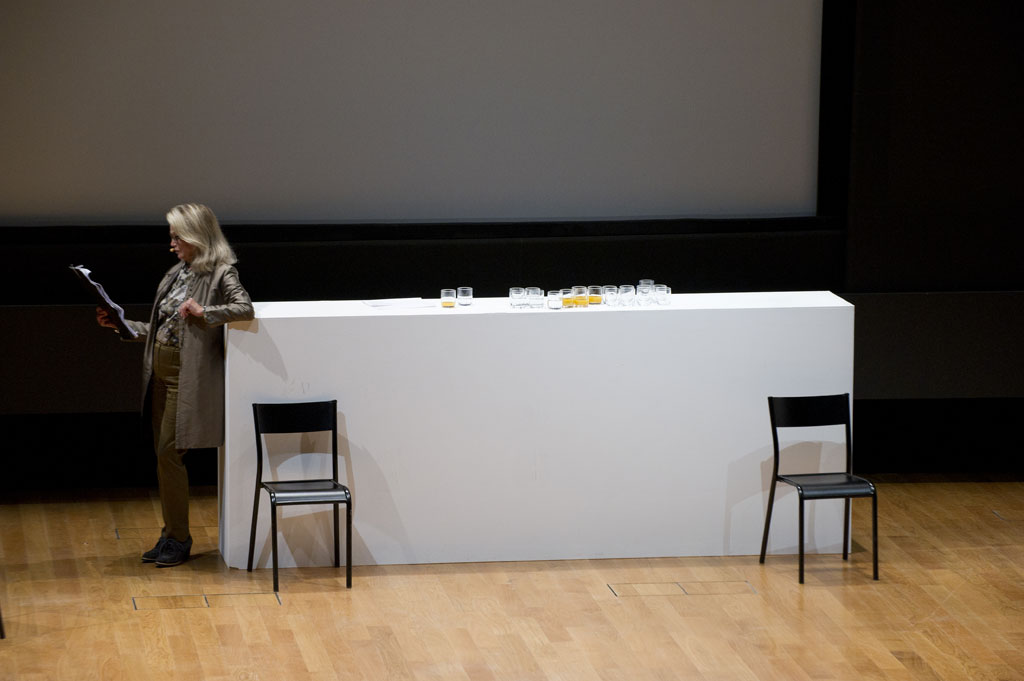 Claude Closky, 'Private View' (3), Alexandra Stewart as 'Jenny', Auditorium du Louvre, 21-10-2011. Photo Marc Domage